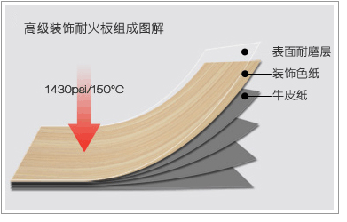 文章告诉你答案