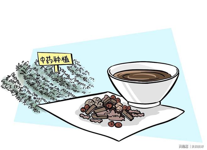 2023年适合北方种植的几种药材市场好利润可观！