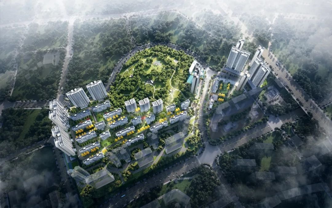 十一月再创新高贵阳楼市又行了？(图8)