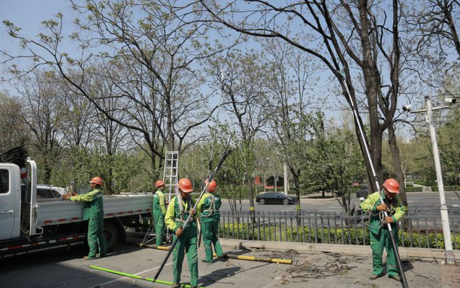 从“等风来”到“迎风战”：北京的一次应急大考(图2)