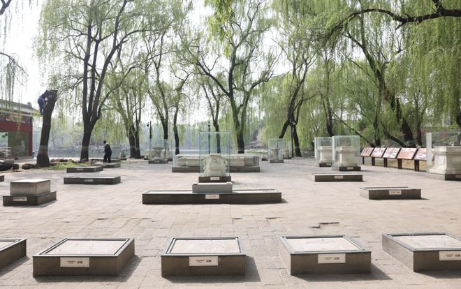从“等风来”到“迎风战”：北京的一次应急大考(图5)