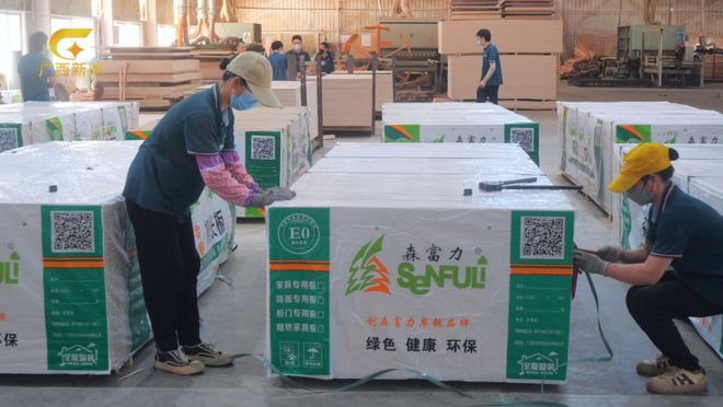 315品质见证森富力板材匠心筑就绿色家园(图3)