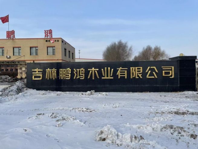 2025板材十大品牌榜单重磅发布行业格局迎来新变革(图1)