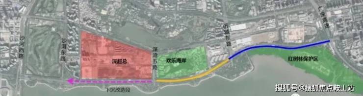 IIC超总壹号(售楼处)首页网站-IIC超总壹号营销中心-欢迎您-楼盘详情-最新价格-户型图-容积率@售楼处(图15)