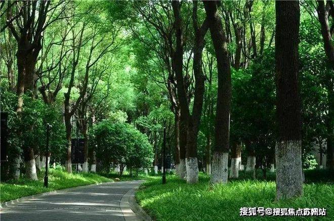 2025中鹰黑森林(售楼处电话)首页网站-中鹰黑森林售楼处地理位置-_户型图_价格_容积率_楼盘简介_小区环境_户型配套(图7)