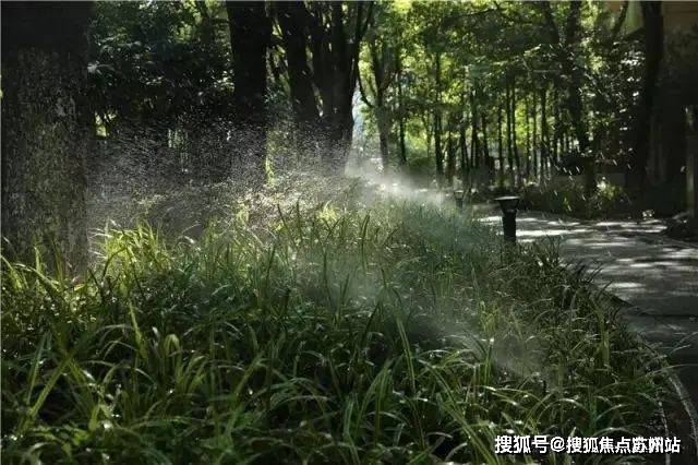 2025中鹰黑森林(售楼处电话)首页网站-中鹰黑森林售楼处地理位置-_户型图_价格_容积率_楼盘简介_小区环境_户型配套(图10)
