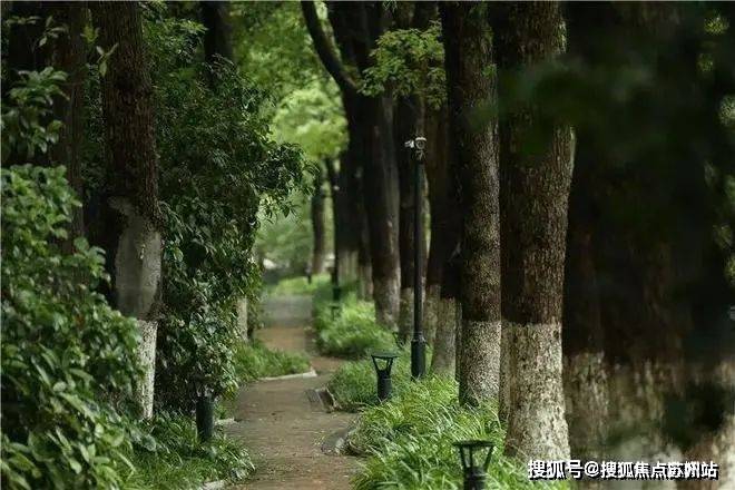 2025中鹰黑森林(售楼处电话)首页网站-中鹰黑森林售楼处地理位置-_户型图_价格_容积率_楼盘简介_小区环境_户型配套(图9)