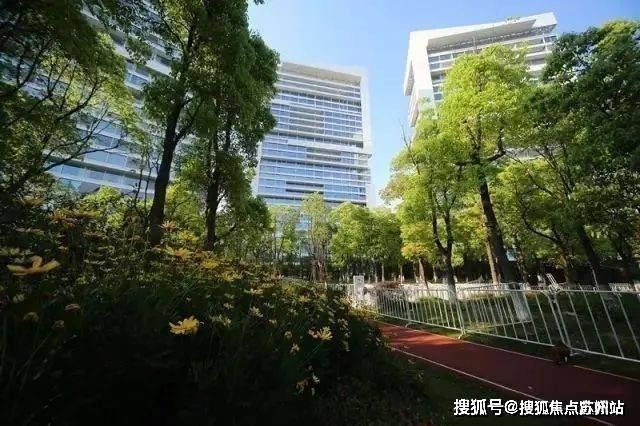 2025中鹰黑森林(售楼处电话)首页网站-中鹰黑森林售楼处地理位置-_户型图_价格_容积率_楼盘简介_小区环境_户型配套(图8)