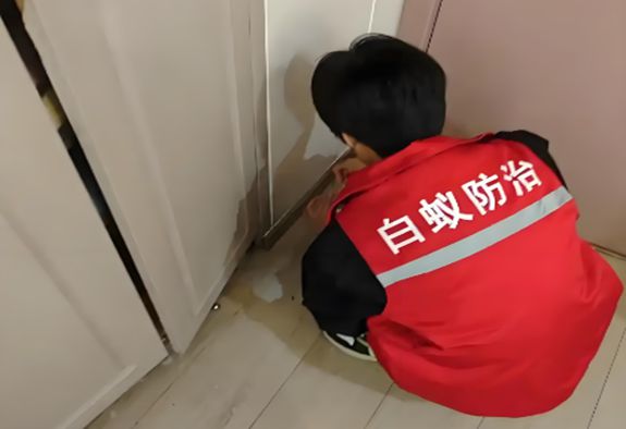 衢州白蚁消杀衢州白蚁防治所电话家庭灭、防治(图2)