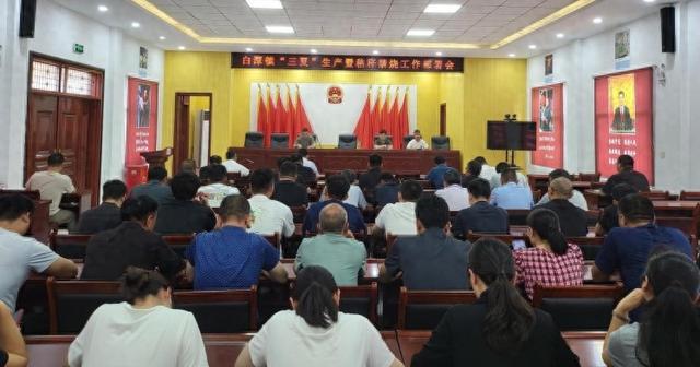 扶沟县白潭镇：扎实服务“三夏”筑牢丰收坚实屏障(图1)