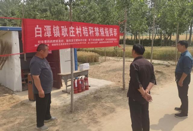 扶沟县白潭镇：扎实服务“三夏”筑牢丰收坚实屏障(图3)