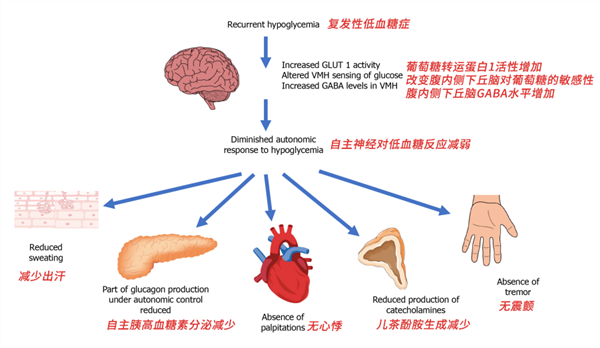 “网红洋媳妇”突然去世被当地证实！常见的低血糖也会致人死亡(图3)