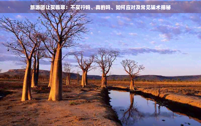 旅游团让买翡翠：不买行吗、真的吗、如何应对及常见骗术揭秘(图1)