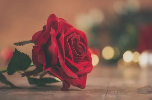 别再称呼女人为美女了称呼美女已经过时现在流行三种！(图2)