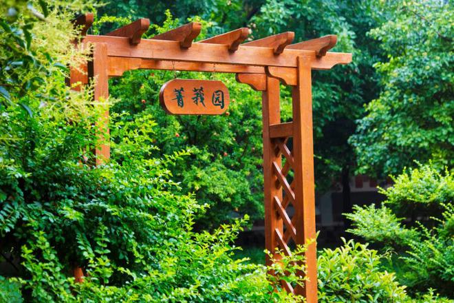 “60天暑假只休7天”？校长暑假忙什么？该忙什么？(图3)