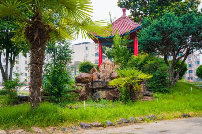 “60天暑假只休7天”？校长暑假忙什么？该忙什么？(图6)