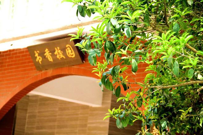 “60天暑假只休7天”？校长暑假忙什么？该忙什么？(图9)
