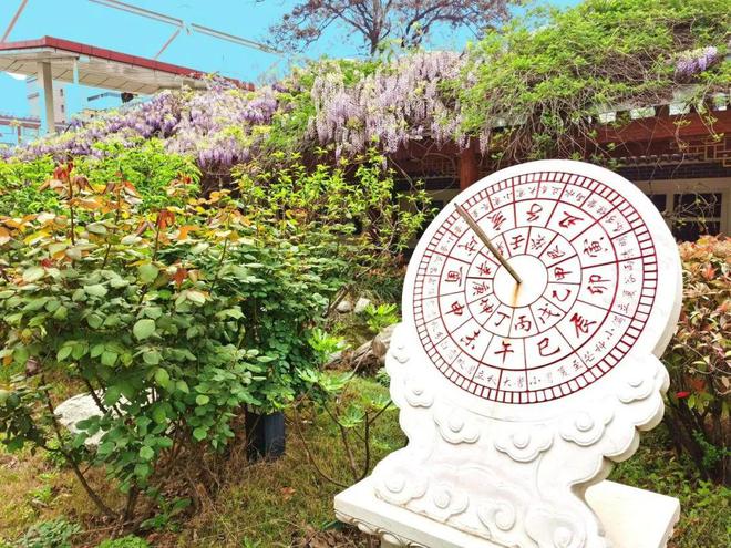 “60天暑假只休7天”？校长暑假忙什么？该忙什么？(图8)