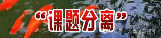 摄像头两年维费42654元！面对辛集网友们的质疑网络索寻如下20255(图1)