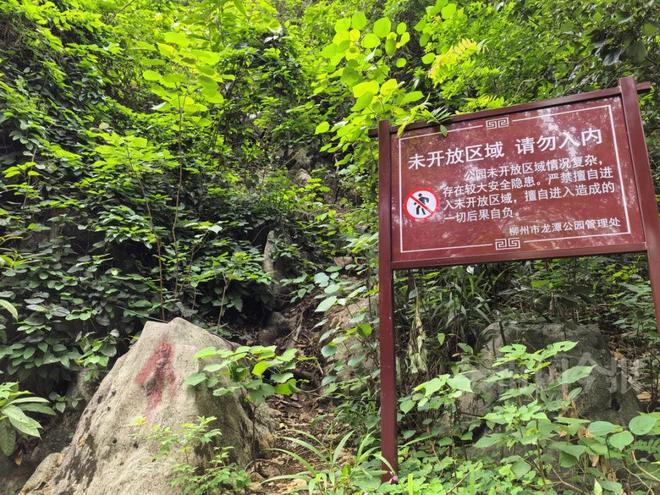 龙潭公园出现奇怪箭头山上绿植被砍断！园方：危险不要去！(图6)