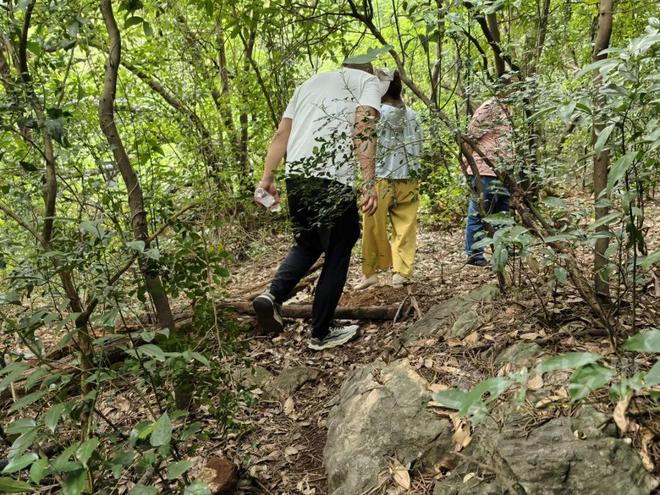 龙潭公园出现奇怪箭头山上绿植被砍断！园方：危险不要去！(图4)