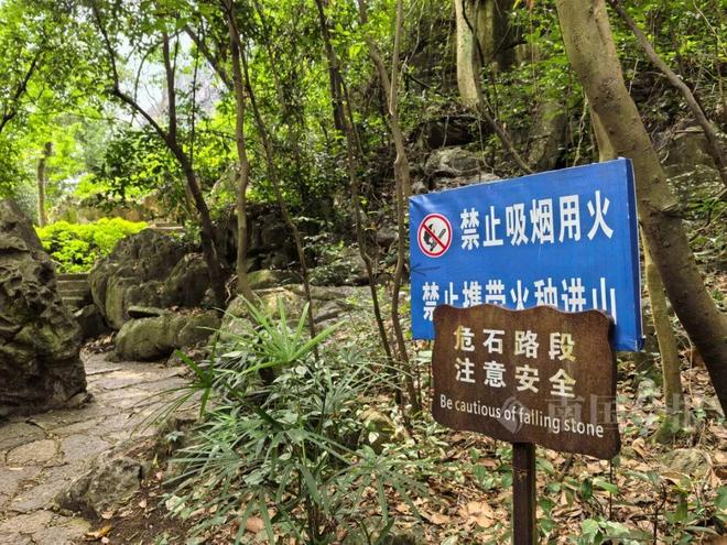 龙潭公园出现奇怪箭头山上绿植被砍断！园方：危险不要去！(图7)