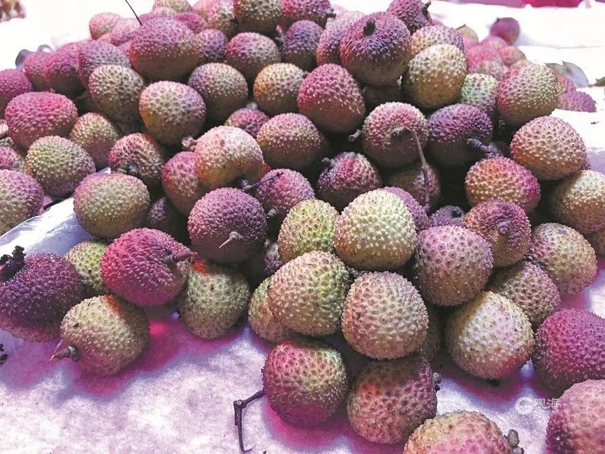 暴跌40%！老板：一天一个价(图1)