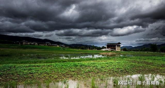 端午雨水藏预兆！下半年南旱北涝？这3类农人得早打算(图4)