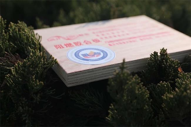 一文解锁阻燃板硬核知识群豪用安全与品质筑起空间“防火盾牌”(图4)