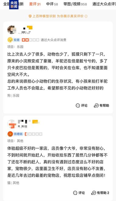 卡皮巴拉、羊驼入驻商场、写字楼究竟暗藏哪些隐患？(图6)