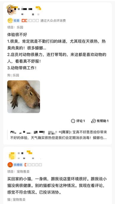 卡皮巴拉、羊驼入驻商场、写字楼究竟暗藏哪些隐患？(图7)