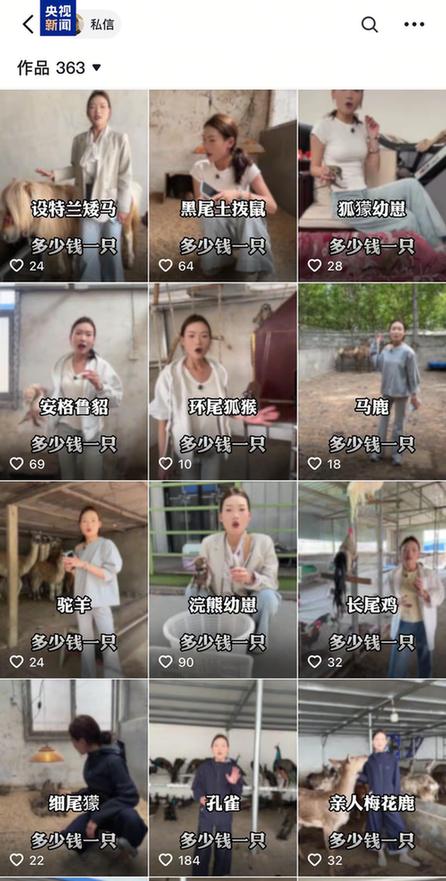 卡皮巴拉、羊驼入驻商场、写字楼究竟暗藏哪些隐患？(图5)