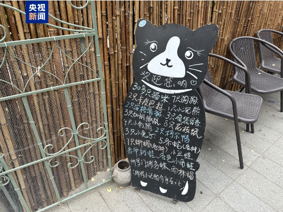 卡皮巴拉、羊驼入驻商场、写字楼究竟暗藏哪些隐患？(图3)