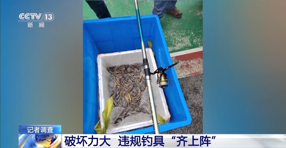 保护区里的“疯狂垂钓”屡禁不止！记者调查→(图11)
