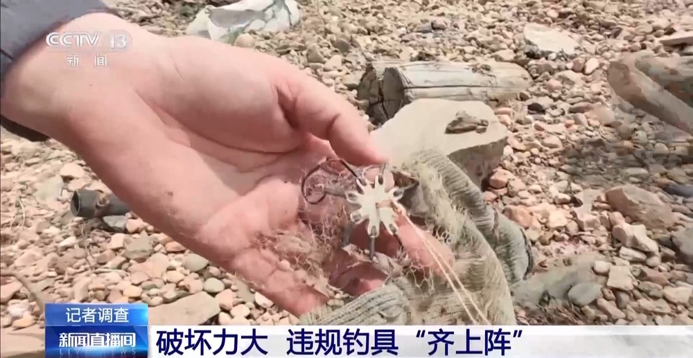 保护区里的“疯狂垂钓”屡禁不止！记者调查→(图10)